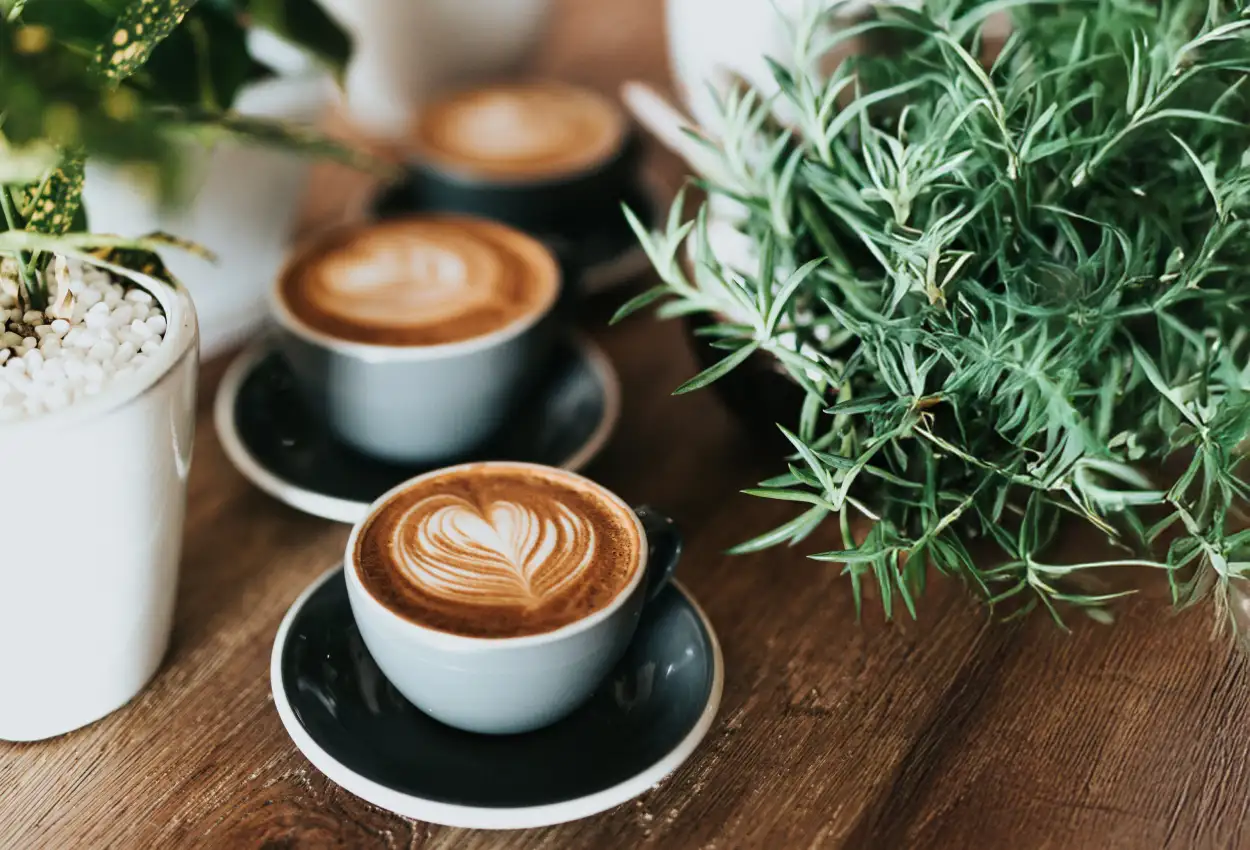 Coffee-shop-about-2